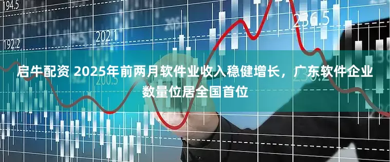 启牛配资 2025年前两月软件业收入稳健增长，广东软件企业数量位居全国首位