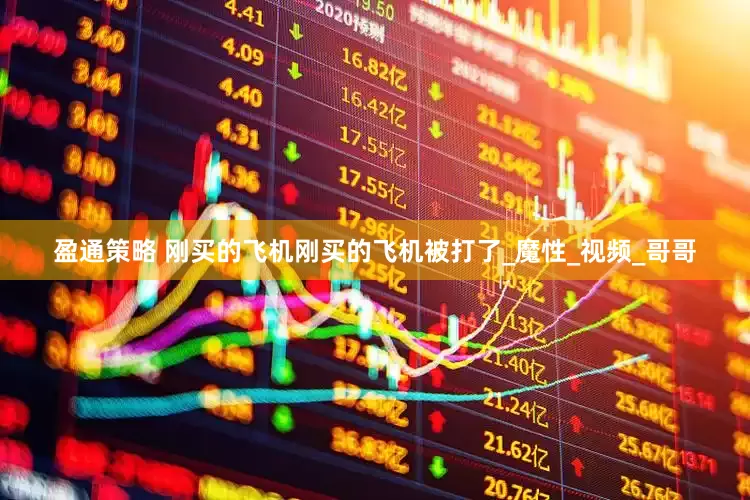 盈通策略 刚买的飞机刚买的飞机被打了_魔性_视频_哥哥